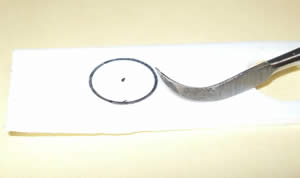 ���L�b�g�@1/144�@�{�[���@3-6