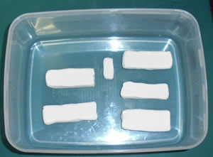 �Ε��S�y�@���n