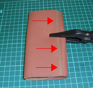 ���U�[�N���t�g�@36�@�_�C�\�[�̊v�@�X�}�z�P�[�X�@05