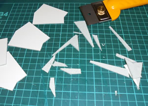 ���U�[�N���t�g�@41�@�_�C�\�[�̊v�@�t�@�X�i�[�t���~�j�����b�g�@10