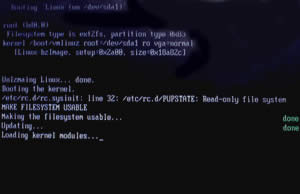 Puppy 4.1.2-JP install 47