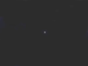 Puppy 4.1.2-JP install 48